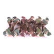 PTÁČEK KLIPS 12cm 12ks*MIX BAREV